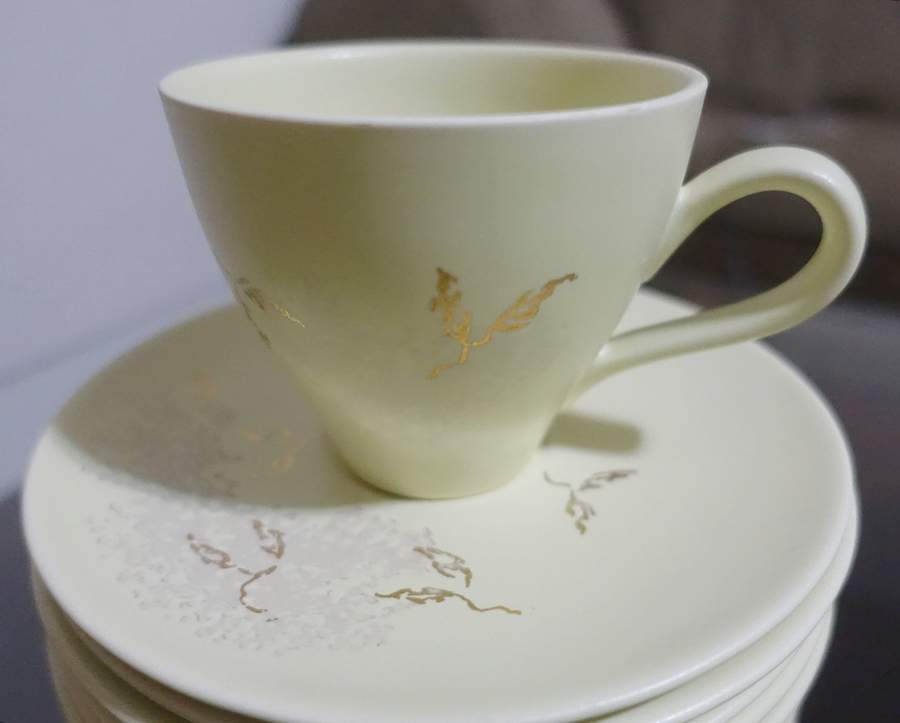 Seeds Flat Cup & Saucer Set by Edwin Knowles-1