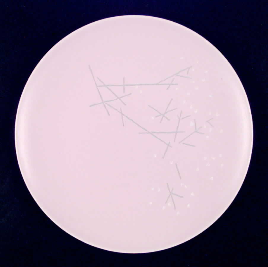 Snowflower Dinner Plate by Edwin Knowles-1