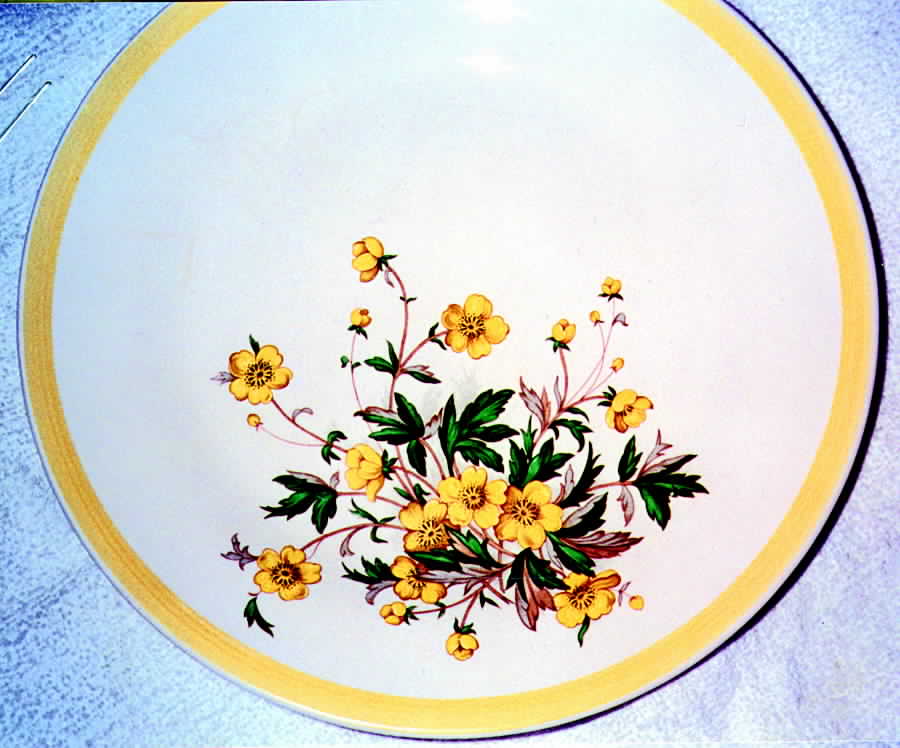 Spring Frolic Dinner Plate by Edwin Knowles-1