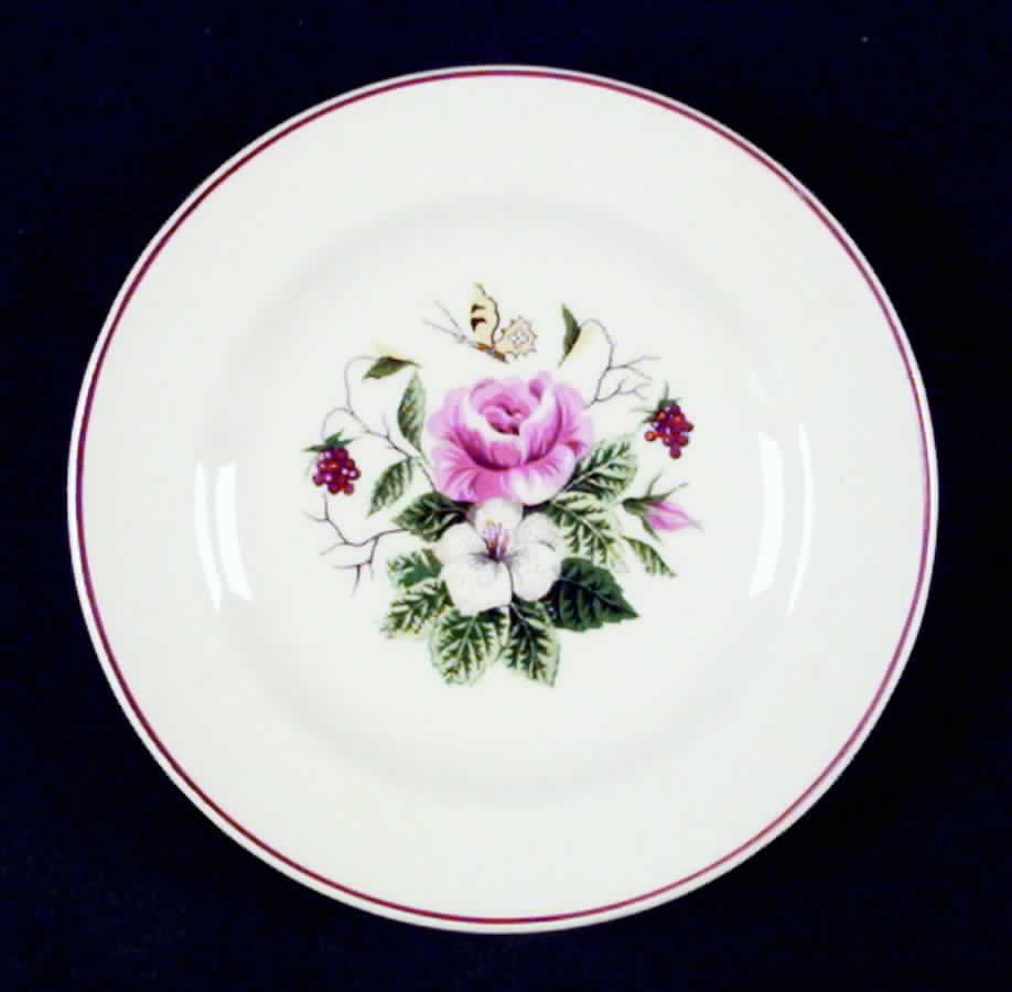 Spring Glory Bread & Butter Plate by Edwin Knowles-1