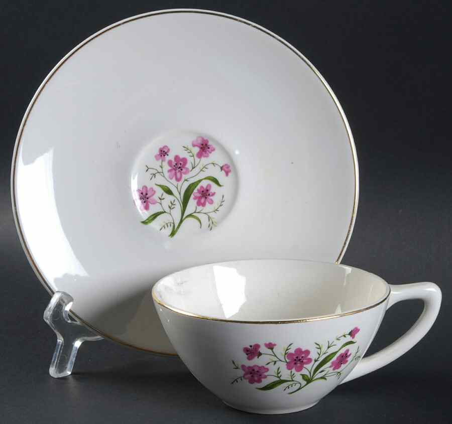 Spring Song Flat Cup & Saucer Set by Edwin Knowles-1