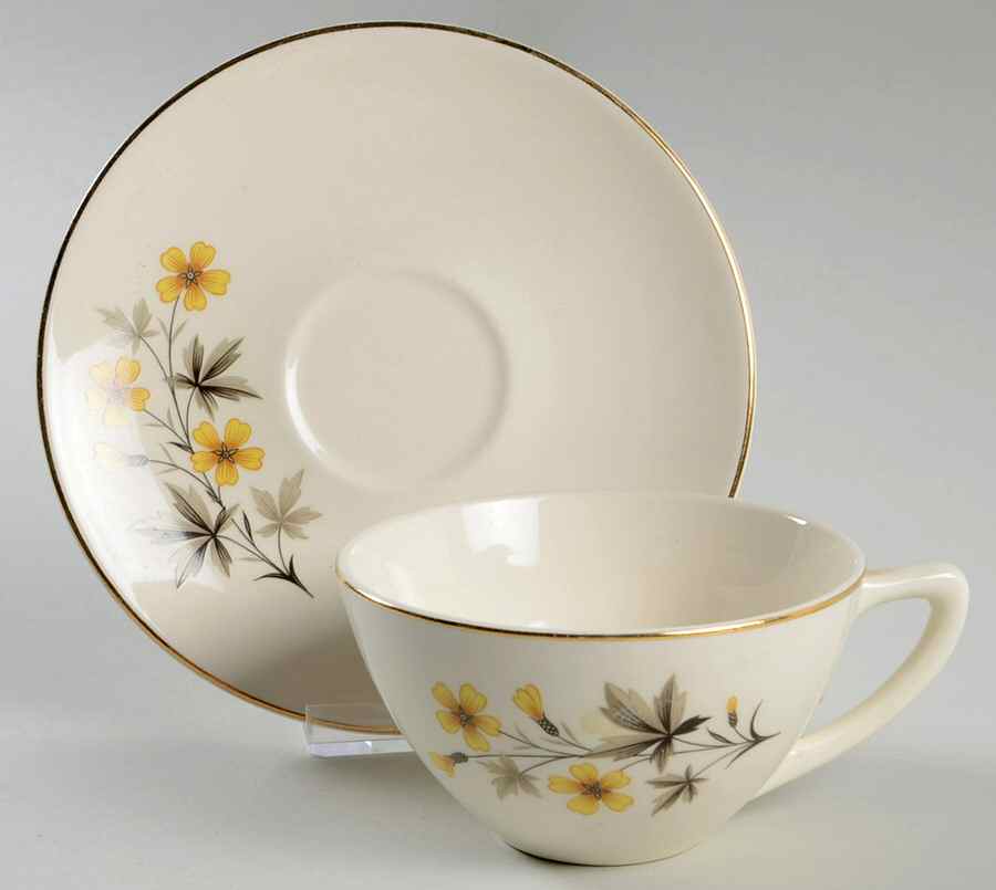 Sun Light Flat Cup & Saucer Set by Edwin Knowles-1