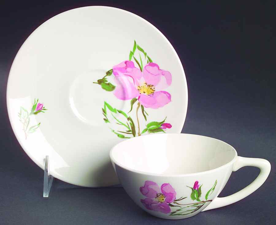 Sweetbriar Flat Cup & Saucer Set by Edwin Knowles-1