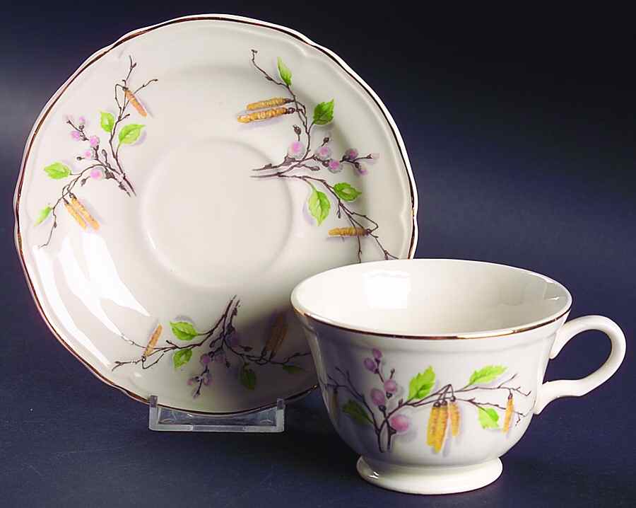 Sylvan (Gold Trim) Footed Cup & Saucer Set by Edwin Knowles-1