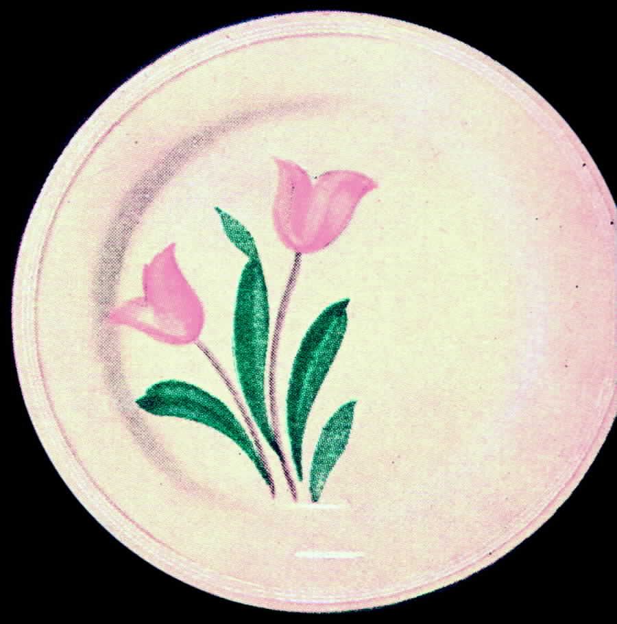 Tulip Dinner Plate by Edwin Knowles-1
