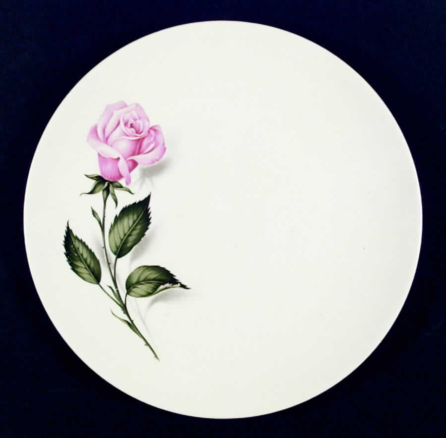 Tupperware Rose Dinner Plate by Edwin Knowles-1