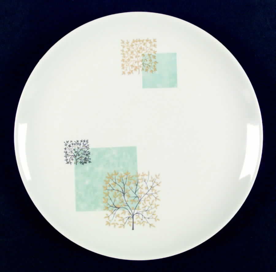 Washington Square Dinner Plate by Edwin Knowles-1