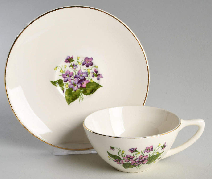 Wood Violets Flat Cup & Saucer Set by Edwin Knowles-1
