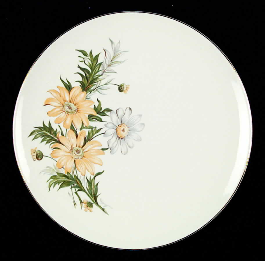 X4011 Dinner Plate by Edwin Knowles-1