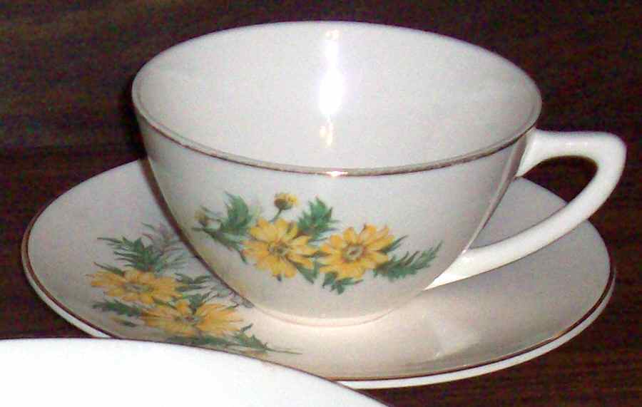 X4011 Flat Cup & Saucer Set by Edwin Knowles-1