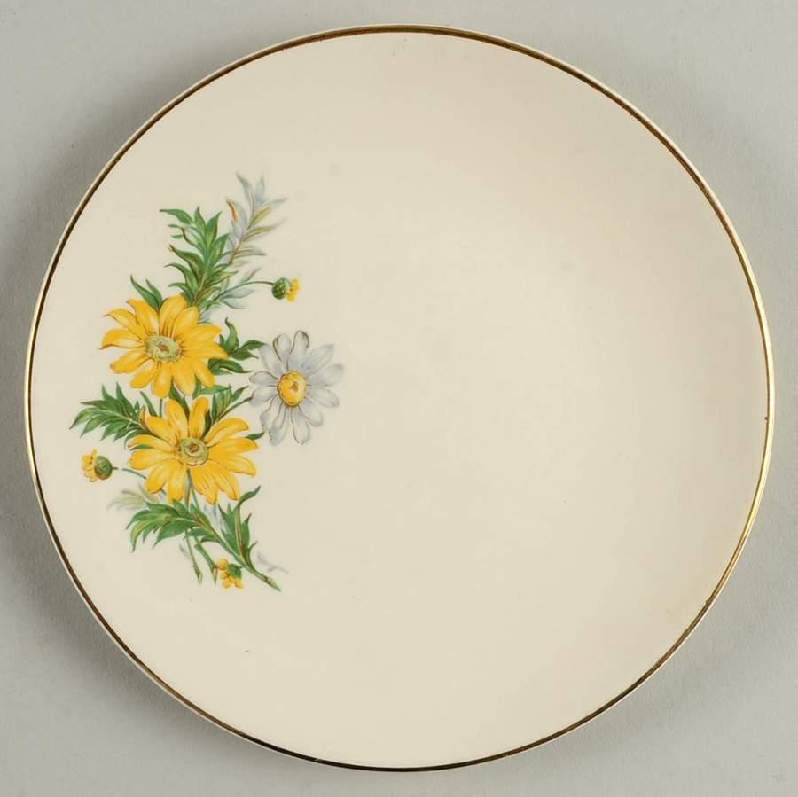 X4011 Bread & Butter Plate by Edwin Knowles-1