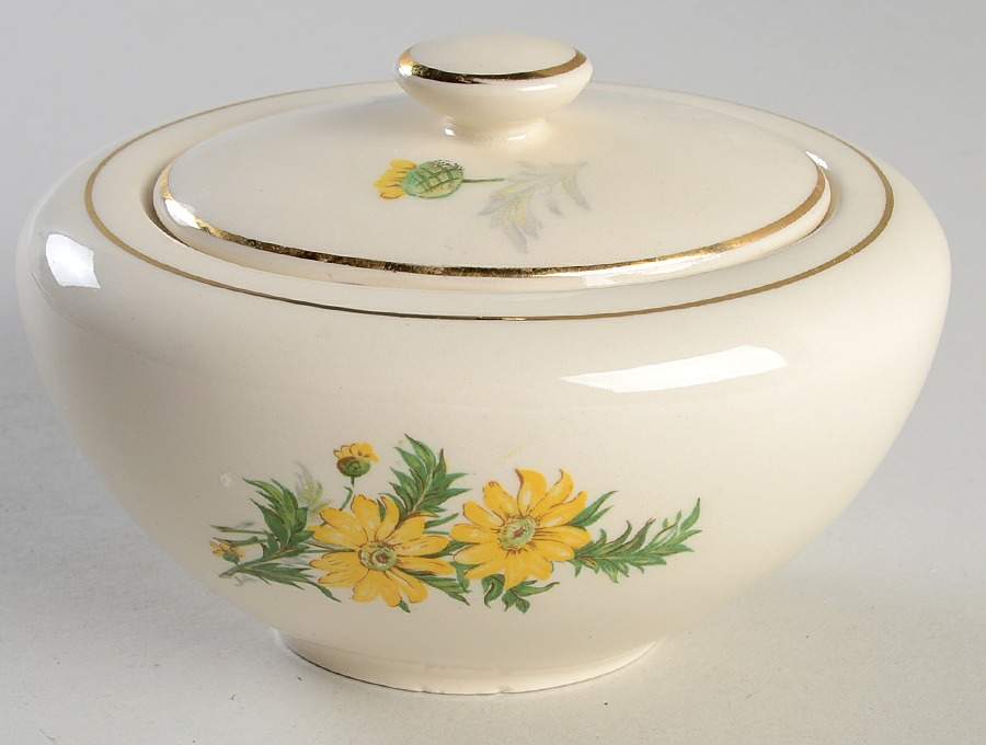 X4011 Sugar Bowl & Lid by Edwin Knowles-1