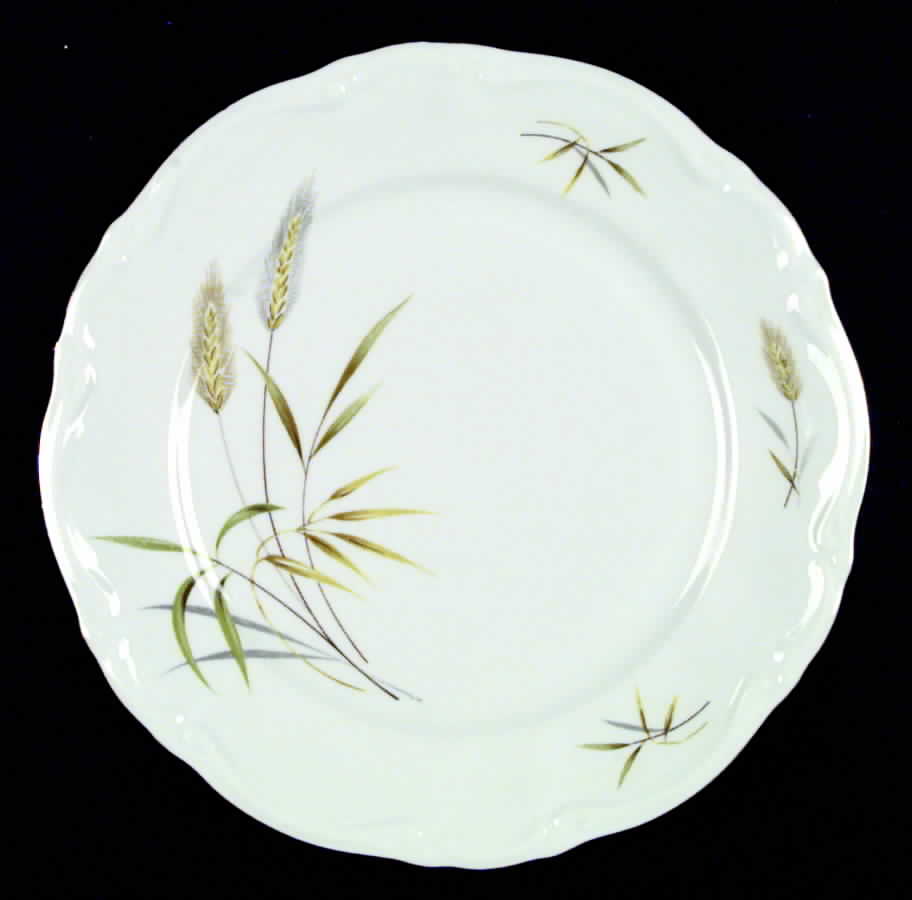 KRO1 Dinner Plate by Kronester-1