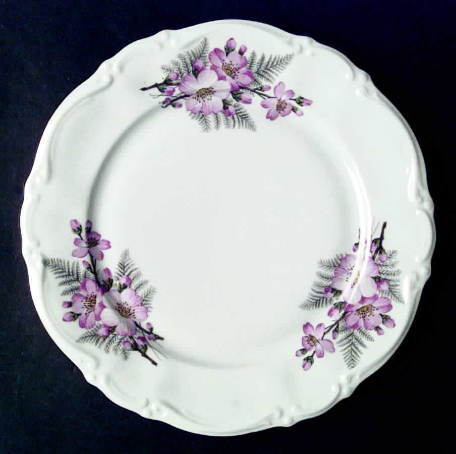Santa Rosa Dinner Plate by Kronester-1