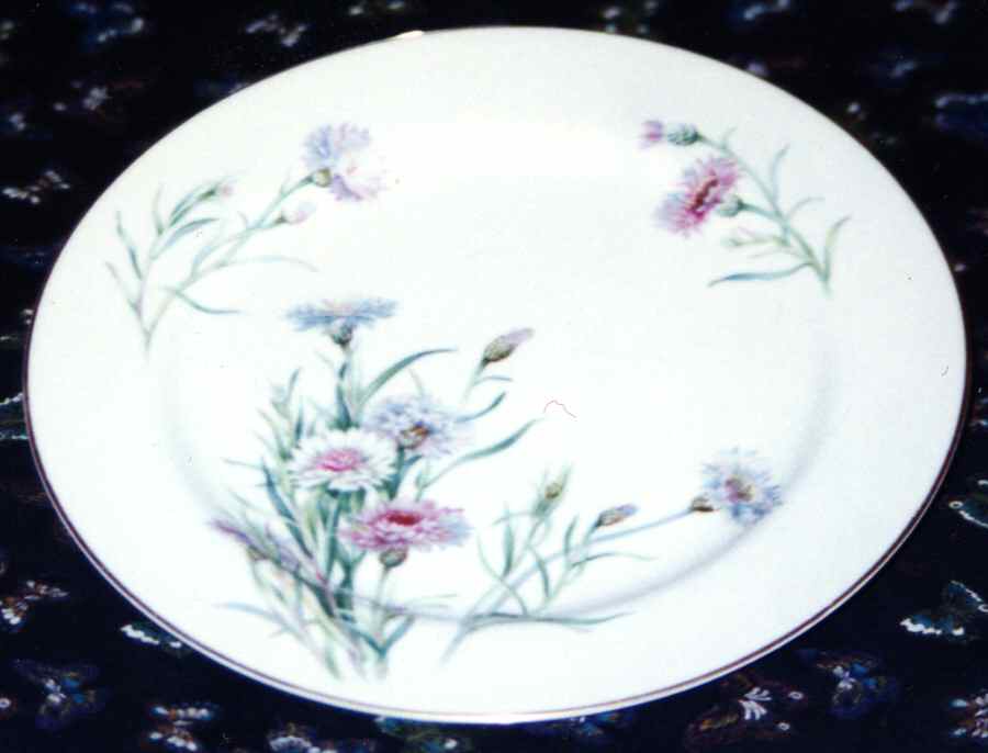 Bluaster Dinner Plate by Kyoto-1