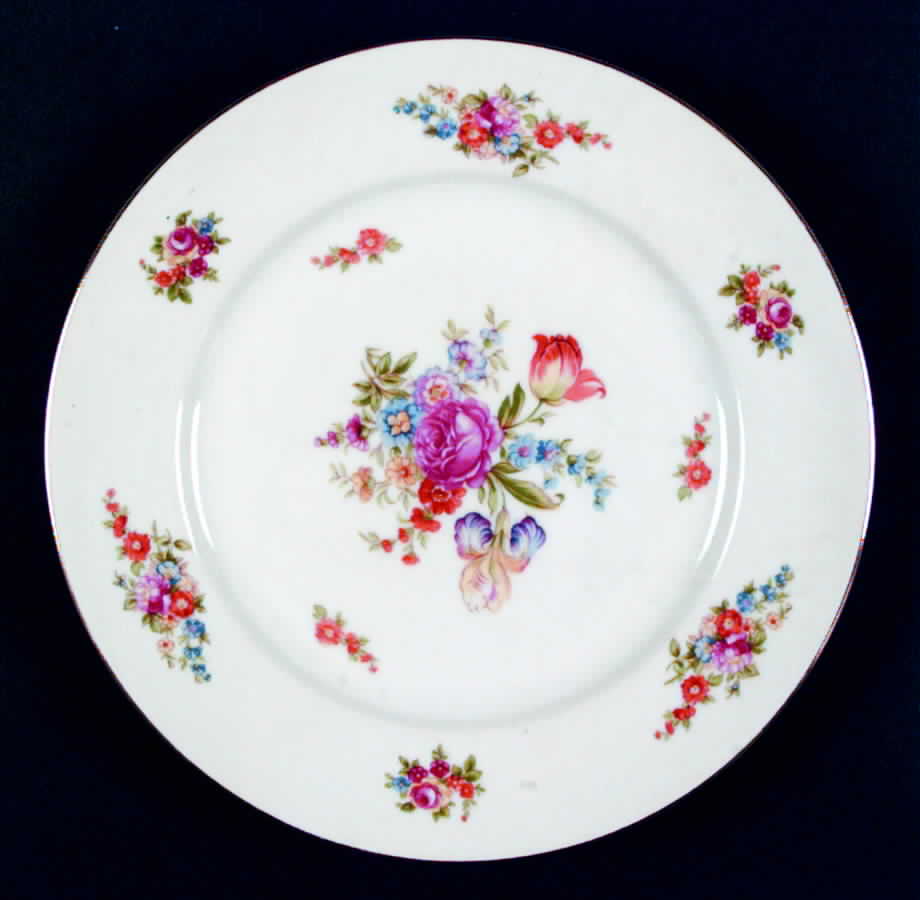 Dresden Dinner Plate by Kyoto-1