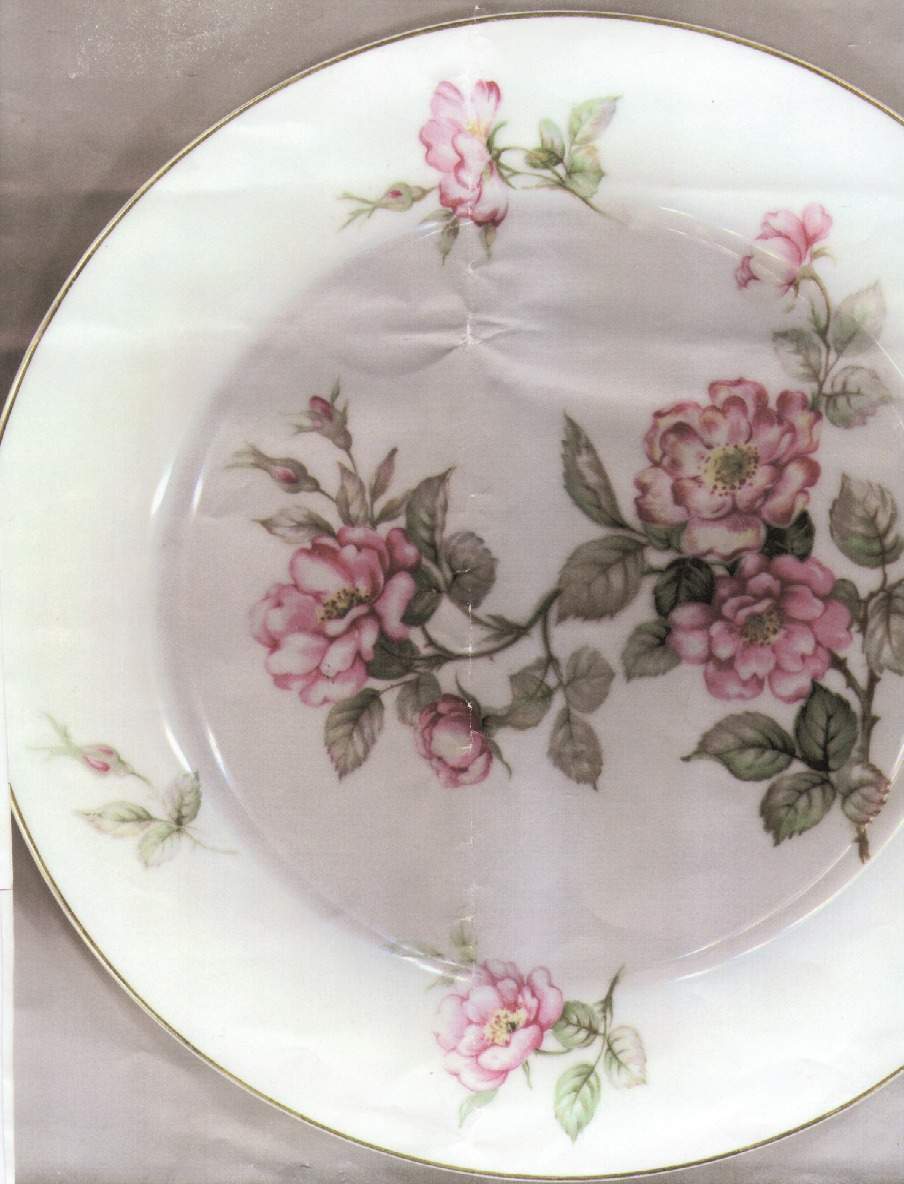 KYO2 Dinner Plate by Kyoto-1