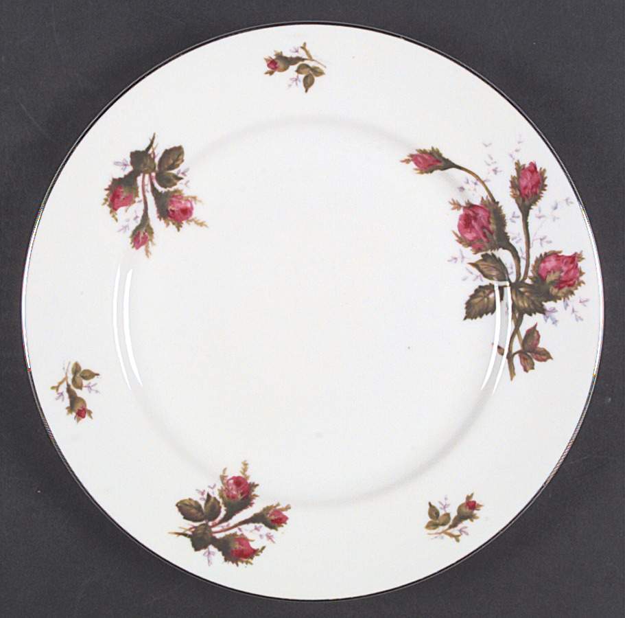 Silvia Dinner Plate by Kyoto-1