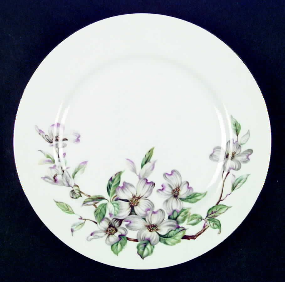 Taxco Dinner Plate by Kyoto-1