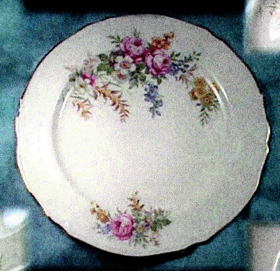 KNO410 Dinner Plate by Edwin Knowles-1