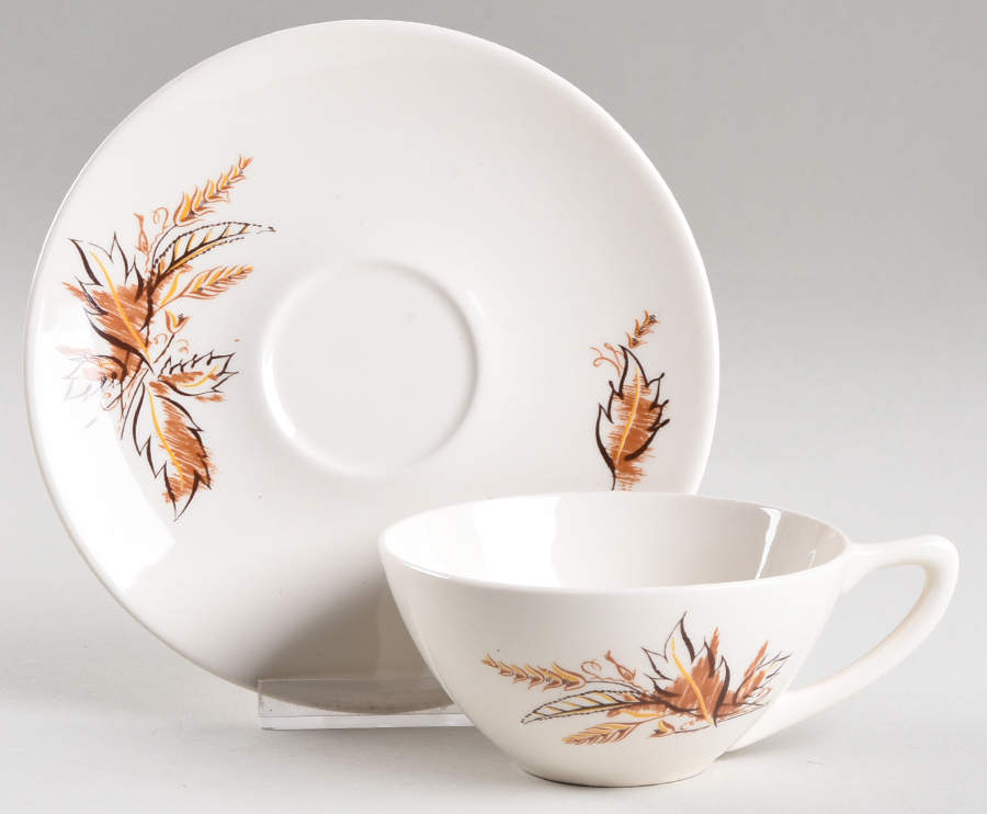 Caprice Flat Cup & Saucer Set by Edwin Knowles-1