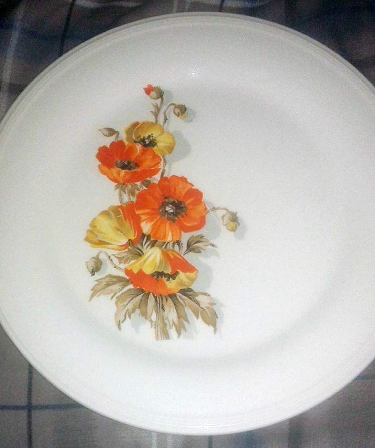 KNO324 Dinner Plate by Edwin Knowles-1