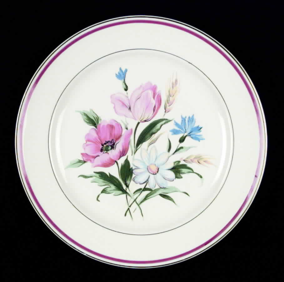Dubarry Dinner Plate by Edwin Knowles-1