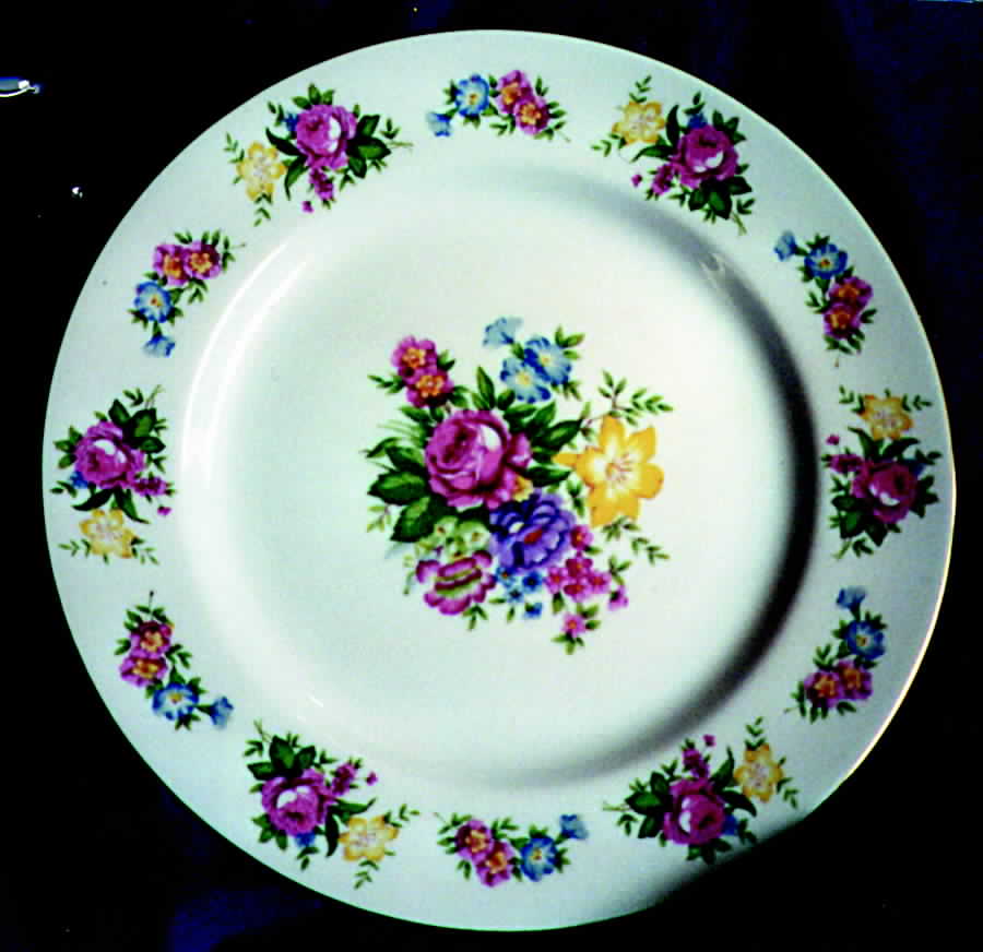 KIN2 Dinner Plate by Kingswood-1