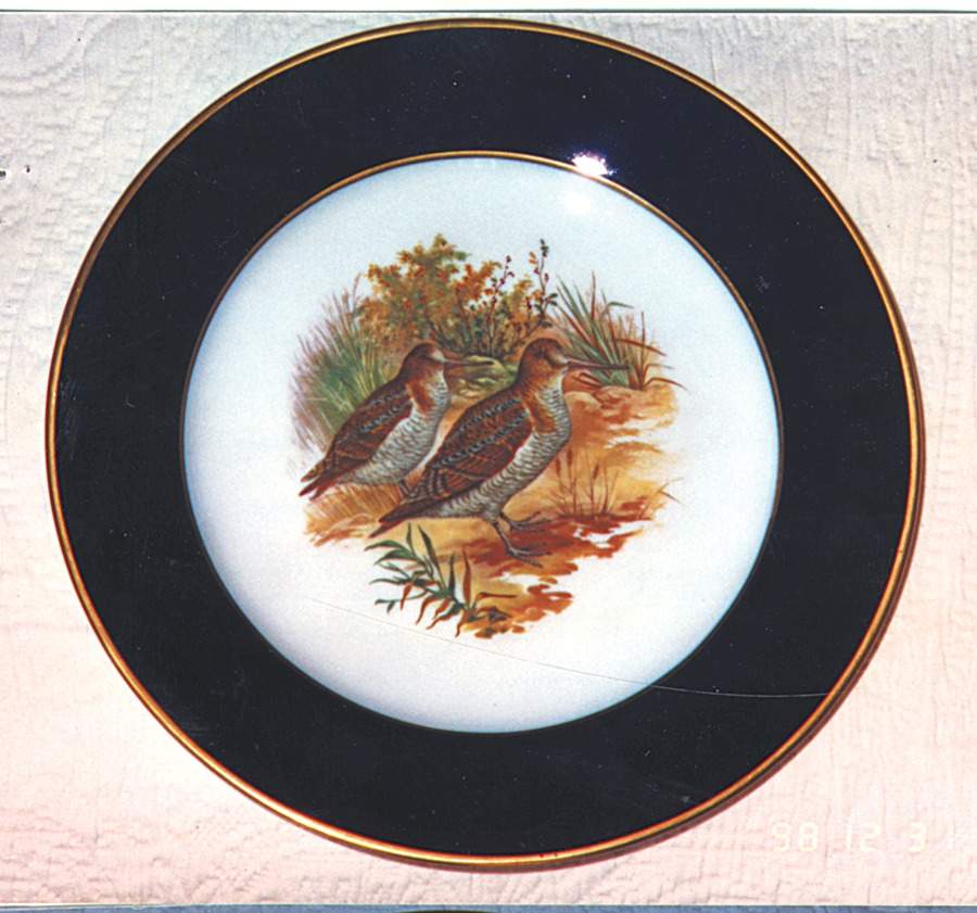 JKW6 Dinner Plate by JKW Bavaria-1