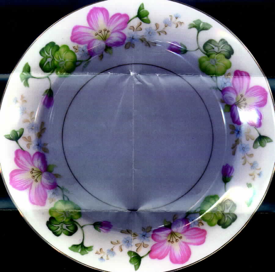 Firenze Salad Plate by Kyoto-1