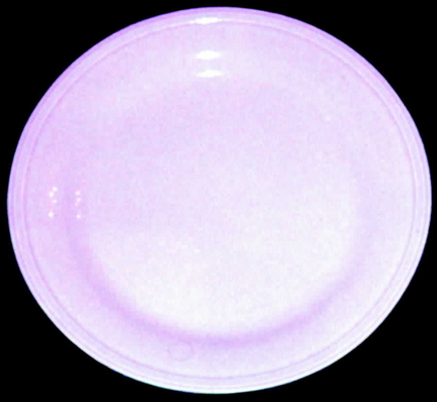 Deanna Pink Dinner Plate by Edwin Knowles-1