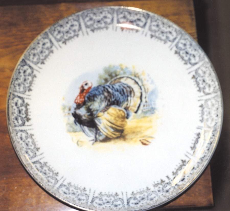 KNO345 Dinner Plate by Edwin Knowles-1