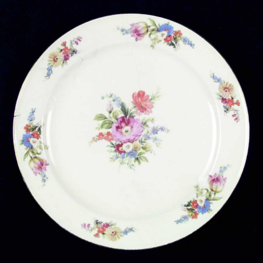 S1272E1-9 Dinner Plate by Edwin Knowles-1