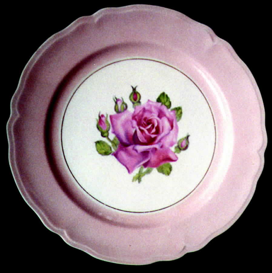 KNO431 Dinner Plate by Edwin Knowles-1