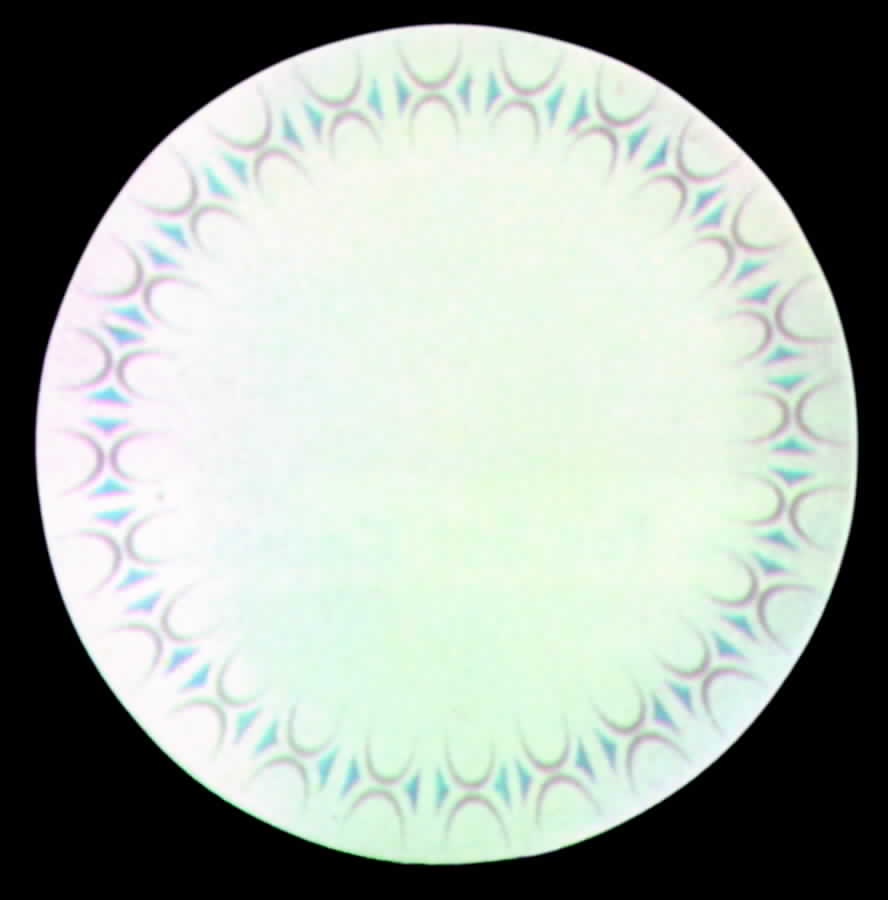 Reflections Dinner Plate by Edwin Knowles-1
