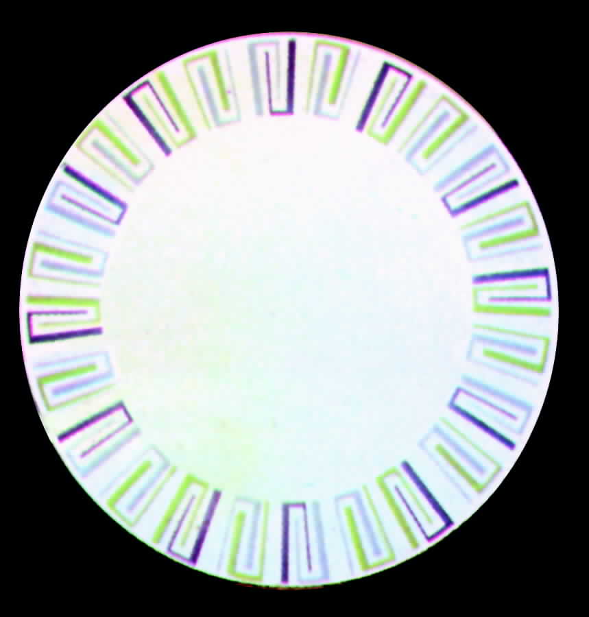 Modern Classic Dinner Plate by Edwin Knowles-1
