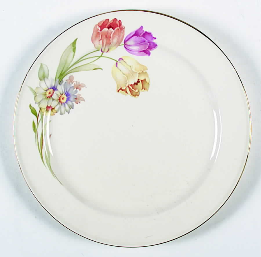 557E1 Dinner Plate by Edwin Knowles-1