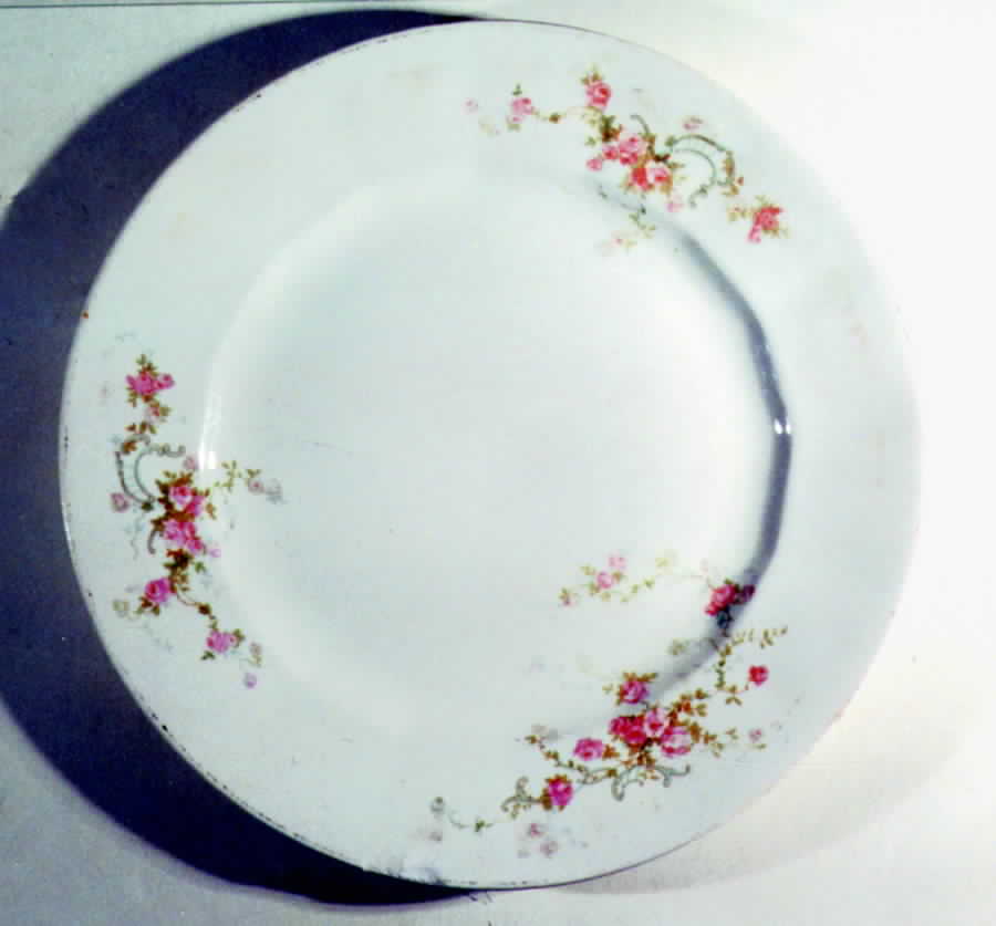 KNO352 Dinner Plate by Edwin Knowles-1
