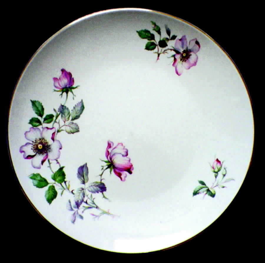 KNO353 Dinner Plate by Edwin Knowles-1