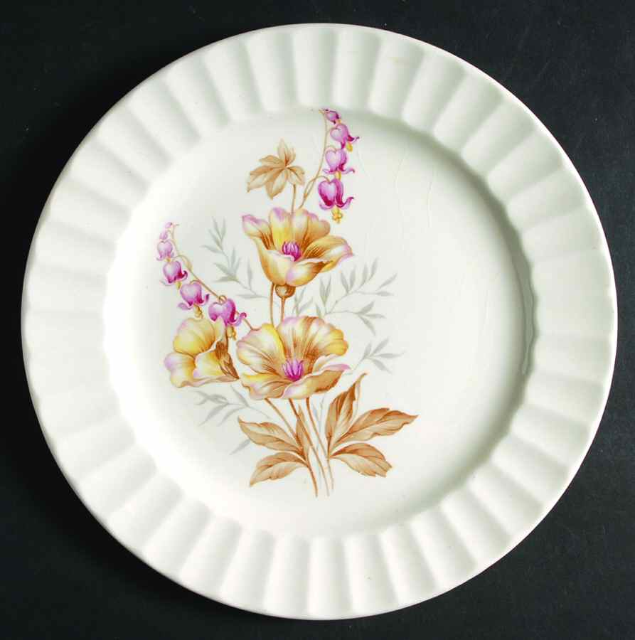 KNO354 Dinner Plate by Edwin Knowles-1