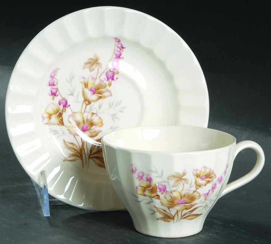 KNO354 Flat Cup & Saucer Set by Edwin Knowles-1