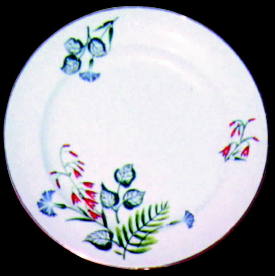 Oslo Dinner Plate by Edwin Knowles-1