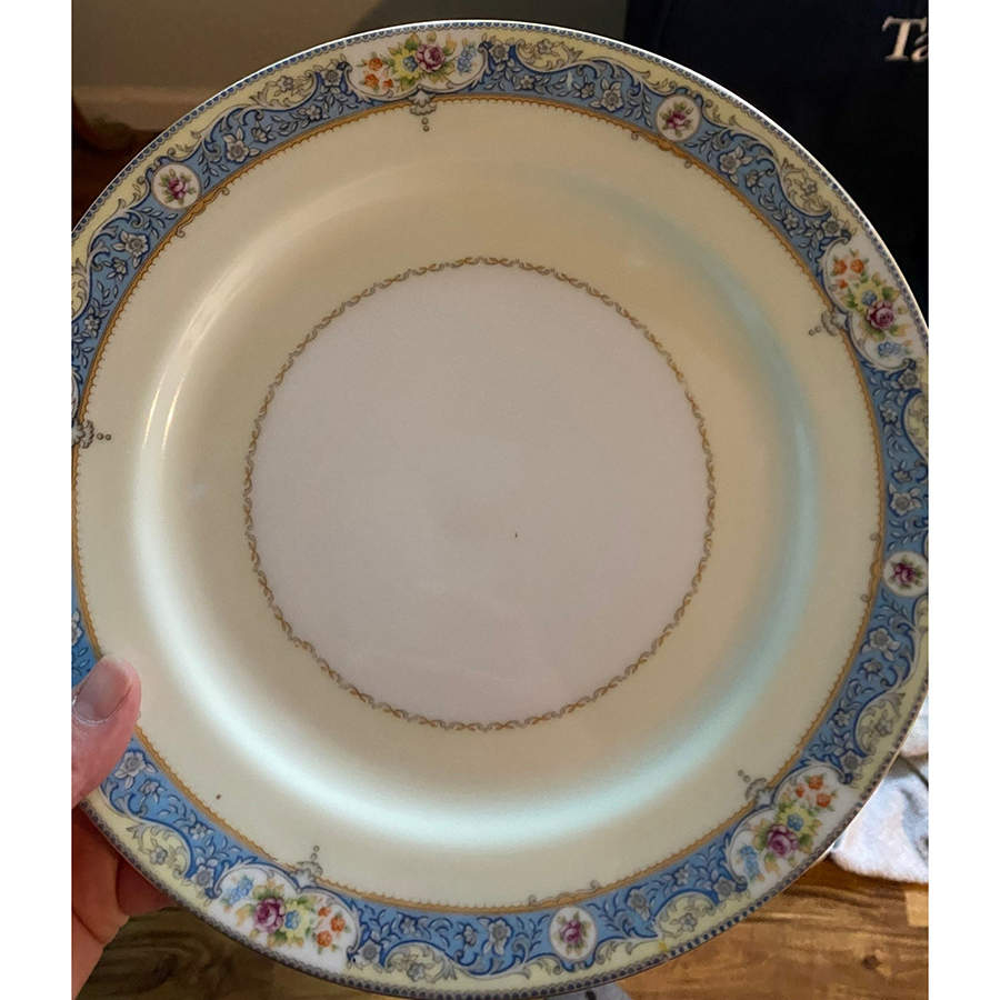 KIK29 Dinner Plate by Kikusui-1