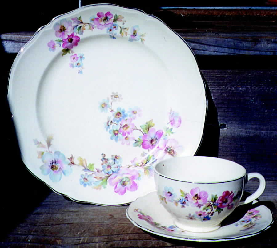 KNO371 Dinner Plate by Edwin Knowles-1