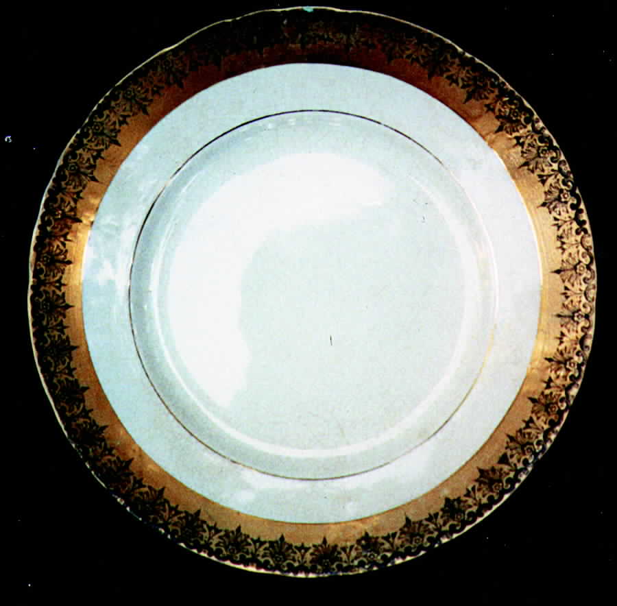 KNO373 Dinner Plate by Edwin Knowles-1