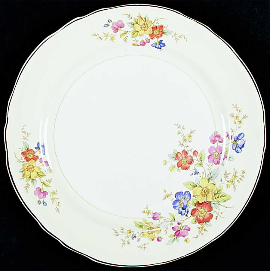 KNO374 Dinner Plate by Edwin Knowles-1