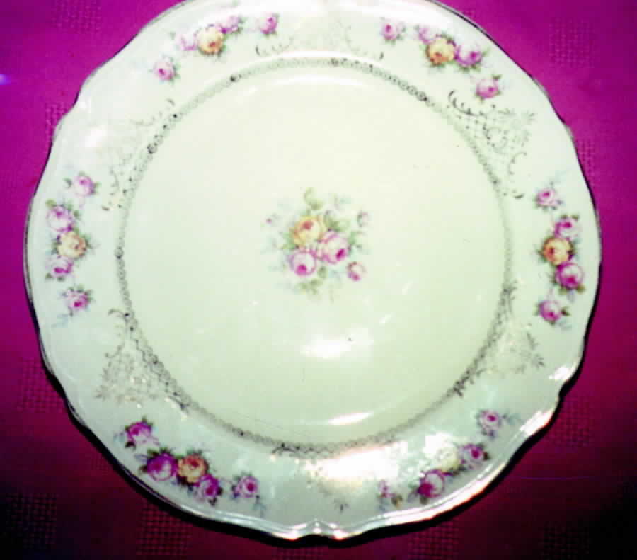 KNO377 Dinner Plate by Edwin Knowles-1