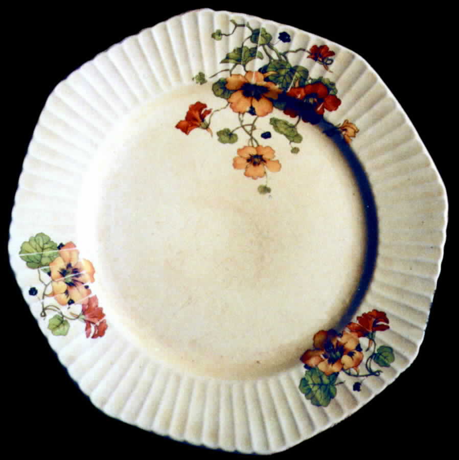 KNO378 Dinner Plate by Edwin Knowles-1