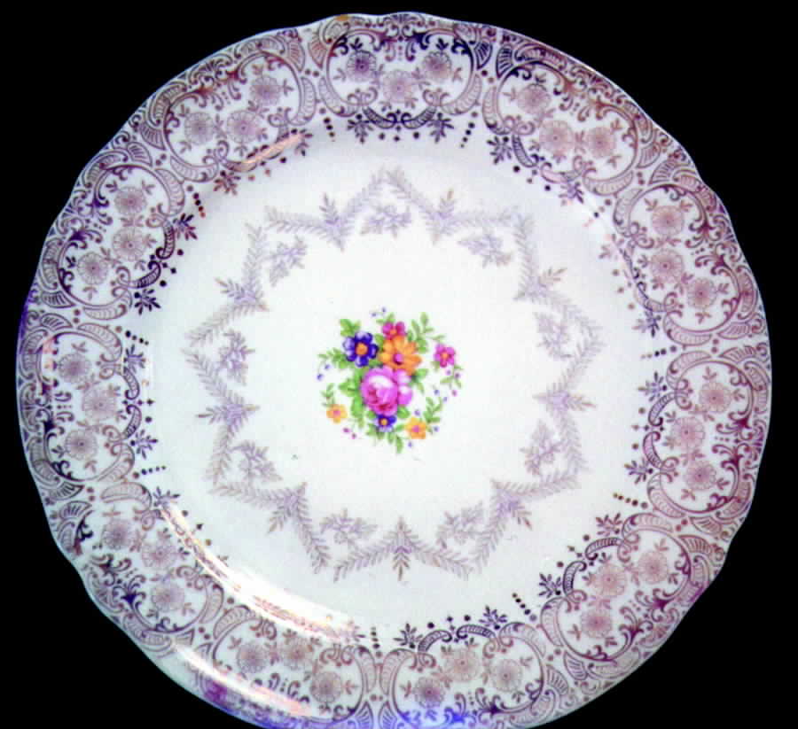 KNO379 Dinner Plate by Edwin Knowles-1
