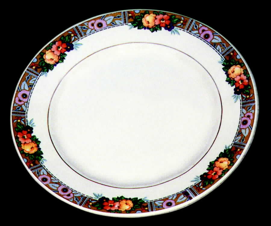 Mayglo Dinner Plate by Edwin Knowles-1